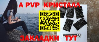 прущие грибы Малгобек