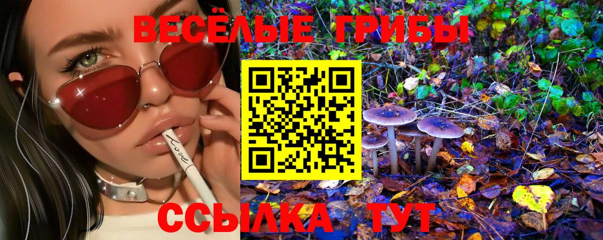 Галлюциногенные грибы Psilocybine cubensis Великие Луки
