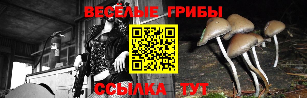 Великие Луки  Галлюциногенные грибы Psilocybine cubensis  Галлюциногенные грибы Cubensis  Вход с VPN 
